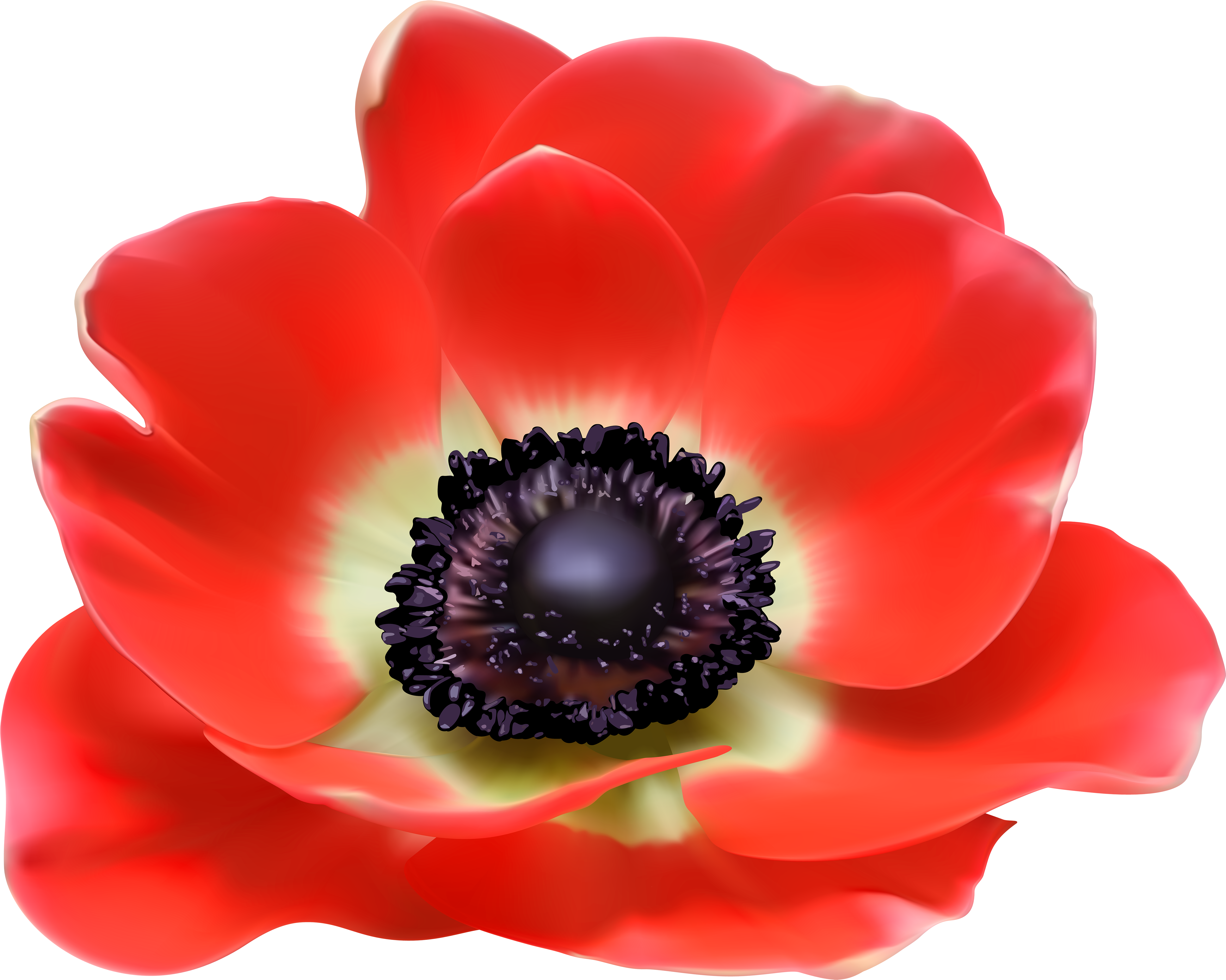Red Flower Png Clip Art Image - Cd Romio. 再恋-サイレン- (6000x4795), Png Download
