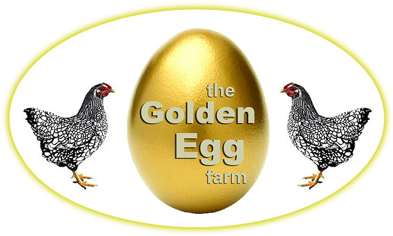 Golden Egg Farm (800x466), Png Download
