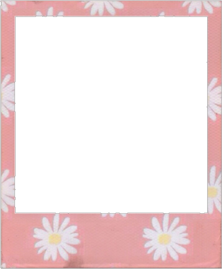 Ftestickers Frame Polaroid Flowers Pink Polaroid Template We Heart