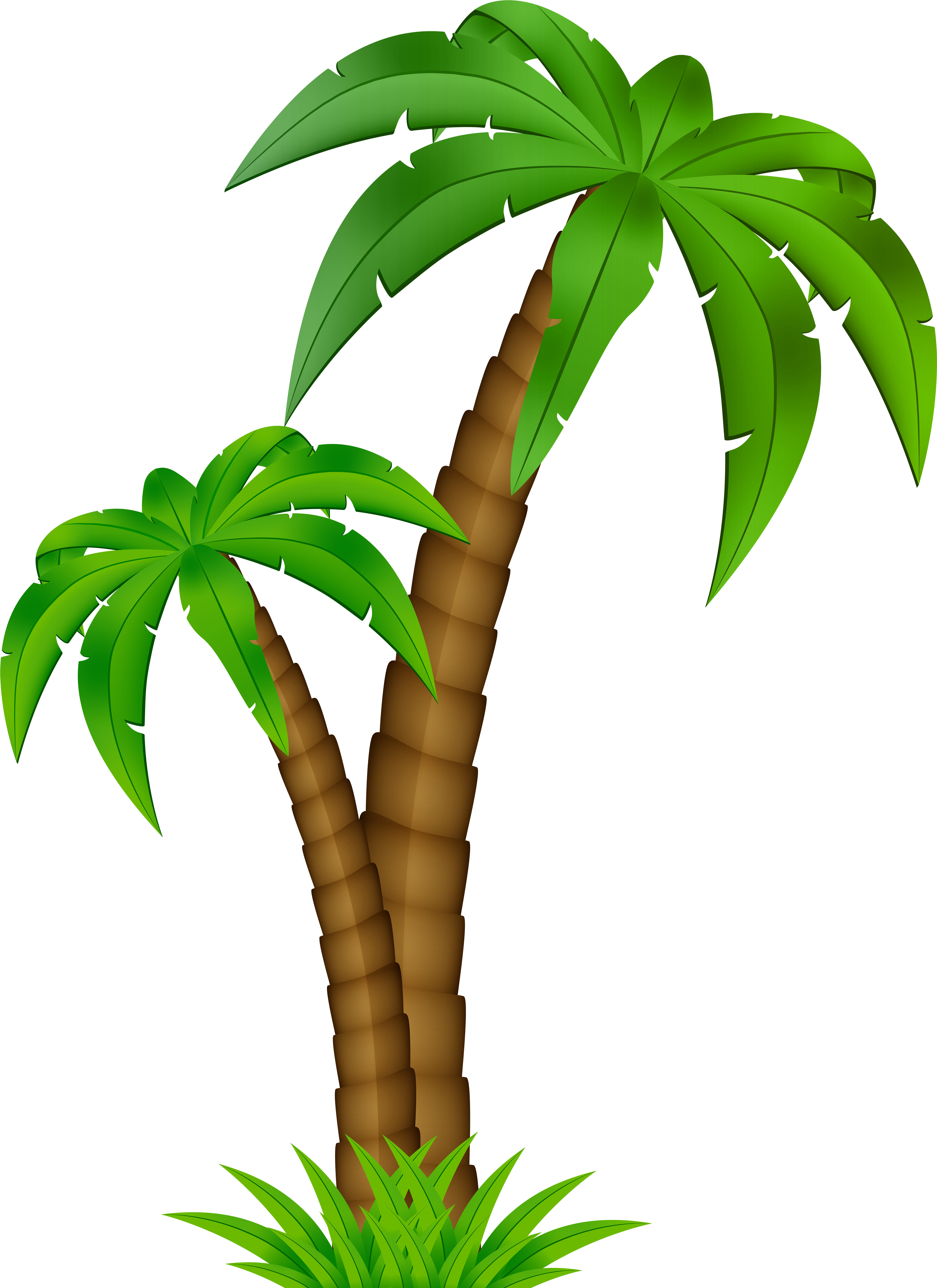 Coqueiro Desenho Png (5928x8000), Png Download
