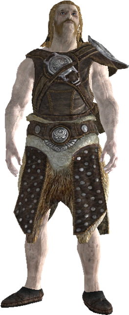 Niels - Dnd Male Human Dual Wielder (480x640), Png Download