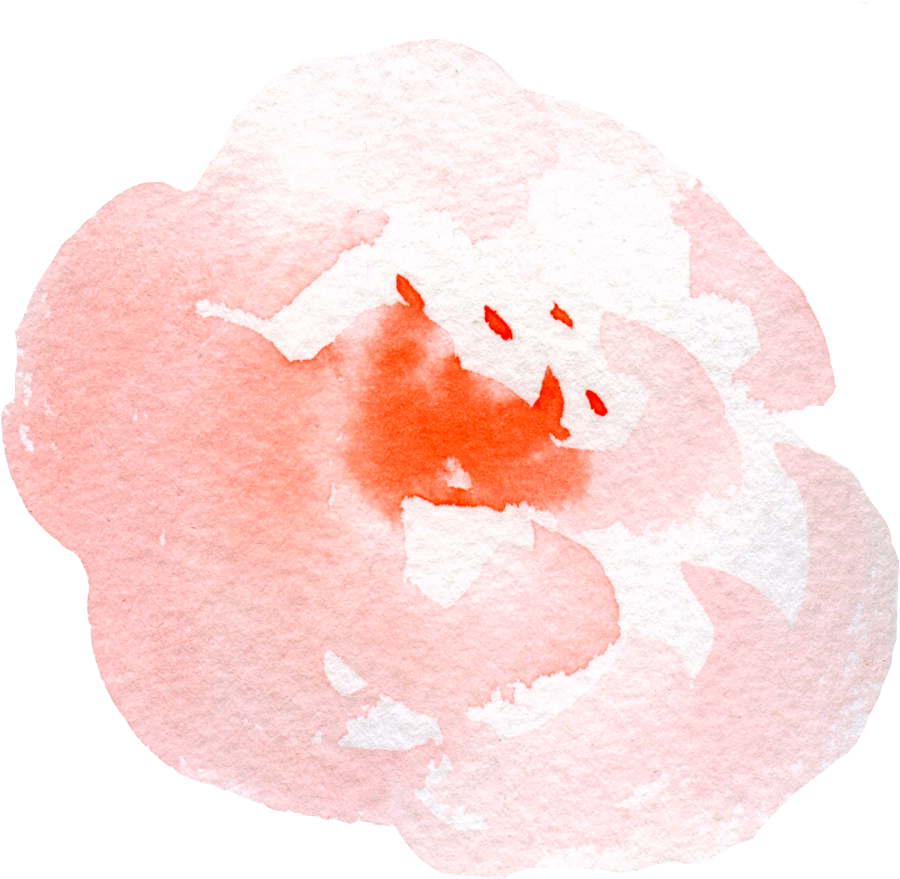 Default - Still Life (932x919), Png Download