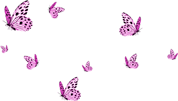 Transparent Pictures Free Icons - Transparent Background Butterflies Png (900x500), Png Download