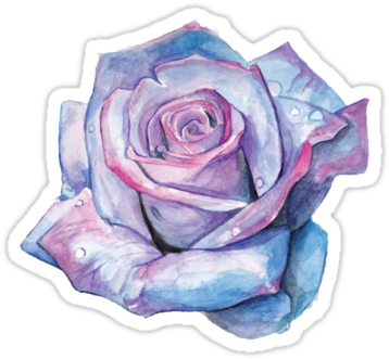 Watercolour Illustration Of A Blue And Pink Rose • - Blue And Pink Watercolor (375x360), Png Download