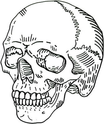 Outline Drawing Grim Reaper - Skull Transparent (500x583), Png Download