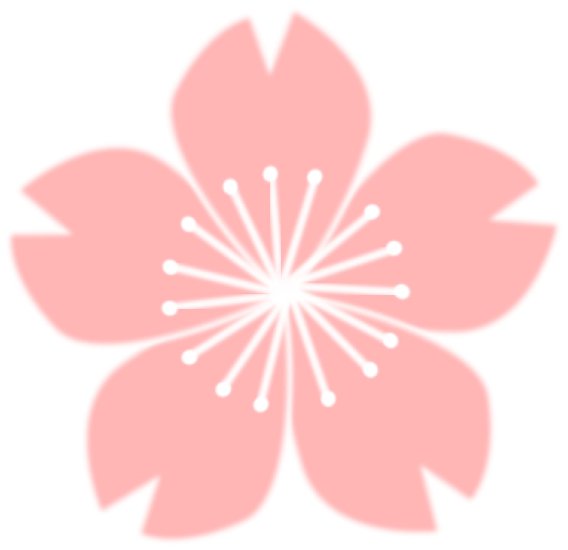 Cherry Blossom Drawing Flower Free Commercial Clipart - Sakura Png (750x750), Png Download