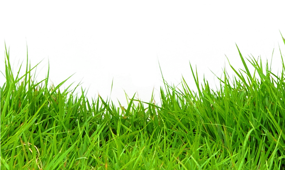 Click Here To View Our Flyer - Metal Detector (1000x646), Png Download