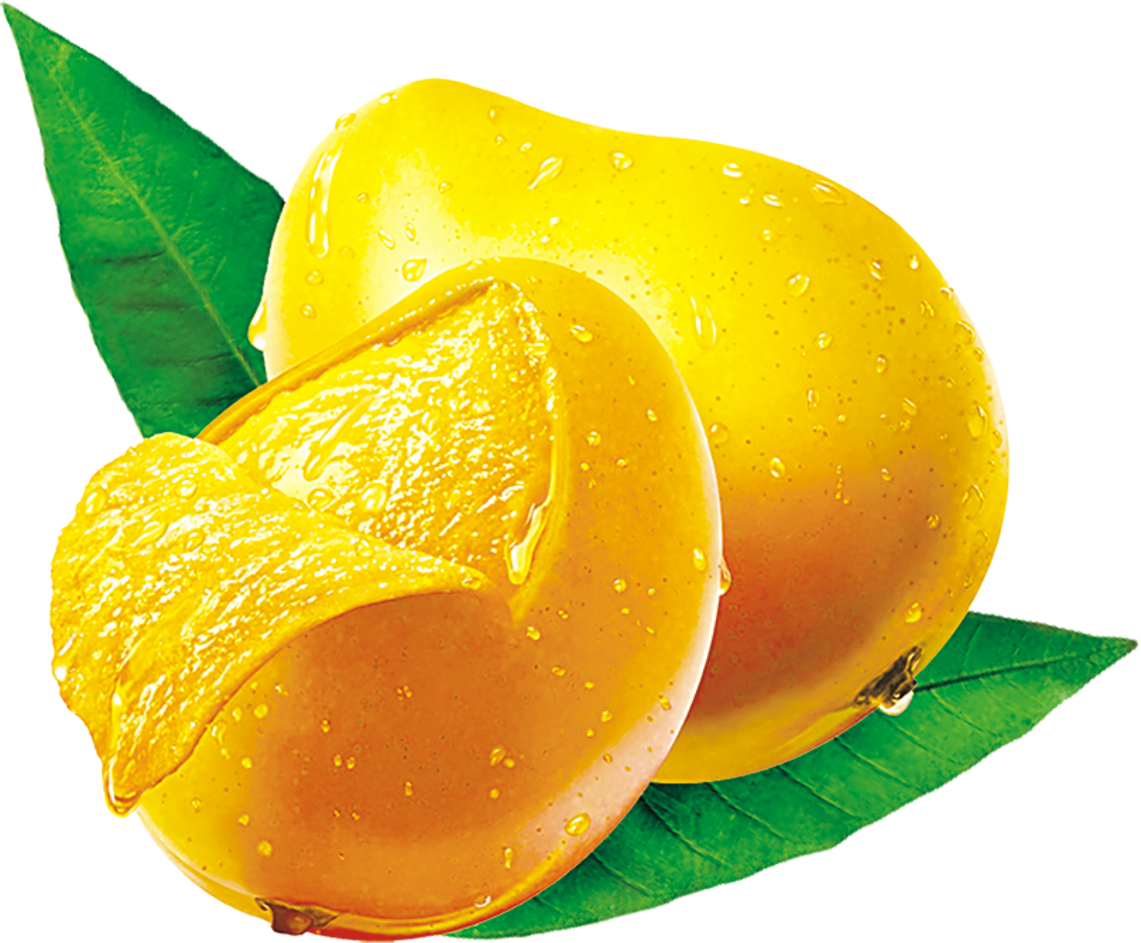 Mango Png Image Free Download - Mango Png (1607x1329), Png Download