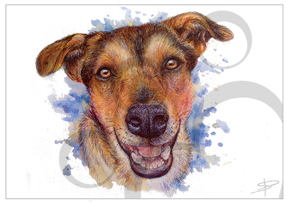 Weston - Treeing Tennessee Brindle (591x591), Png Download