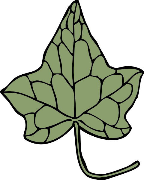 Oak Ivy Leaf Clip Art At Clker Com Vector Clip Art - Ivy Leaf Clip Art (480x598), Png Download