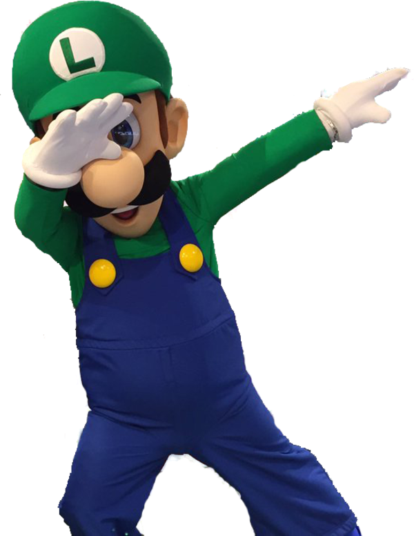 Luigi Dab Png (545x705), Png Download