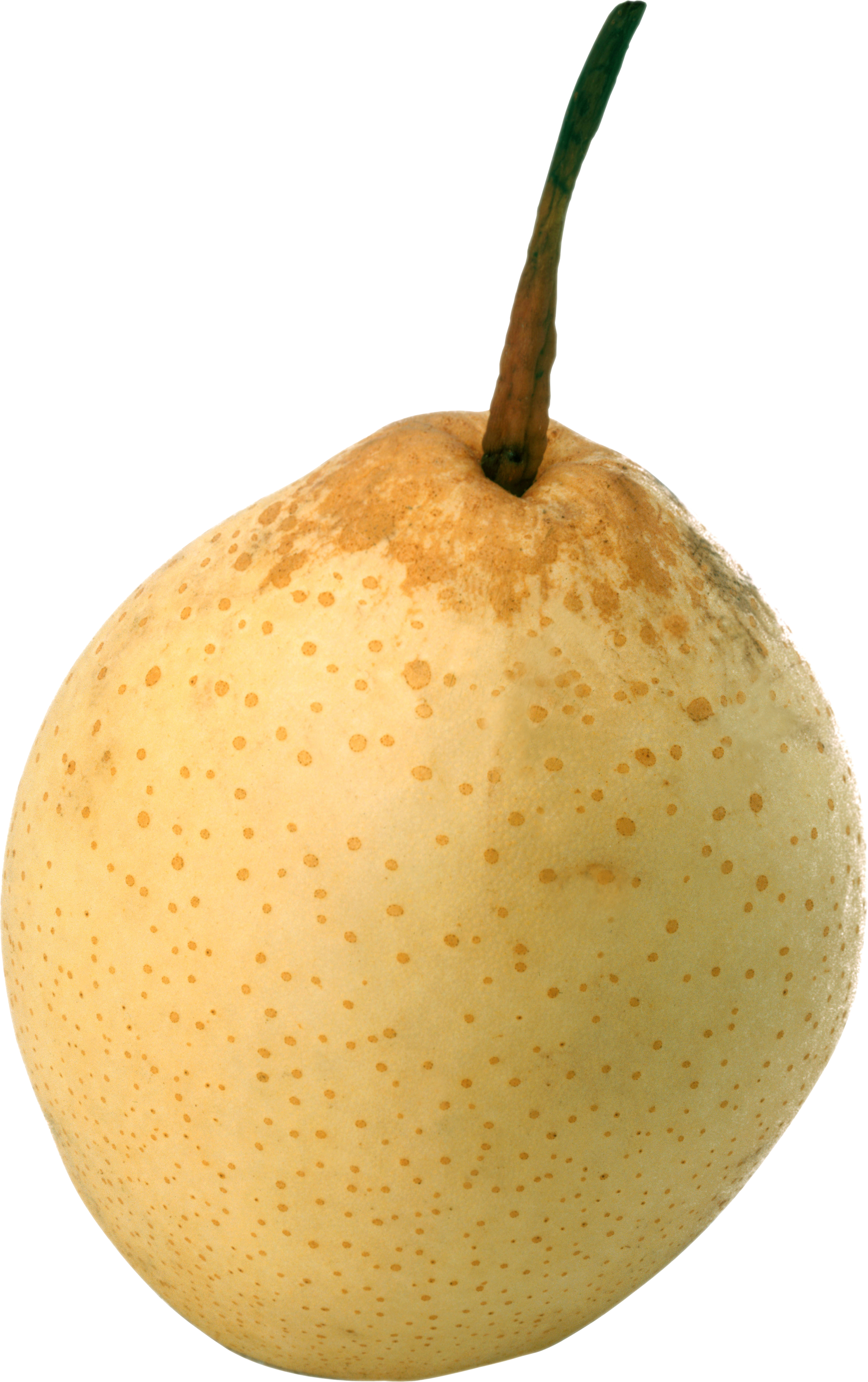 Nashi Pear On Transparent Background (2199x3500), Png Download
