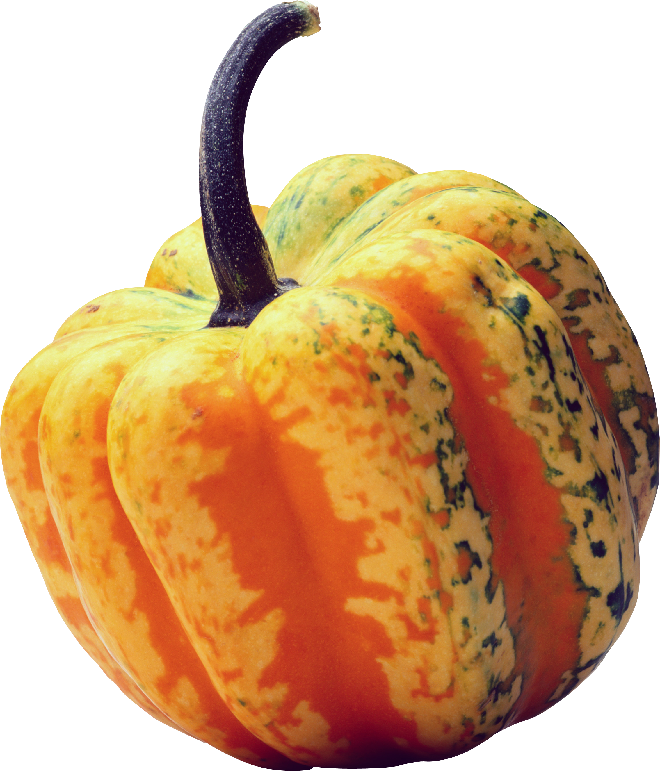 Gourd Transparent Background (2269x2652), Png Download