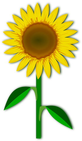 Clip Art Flor Flora Flower Nature Pla - Limited Time Offer No Background (279x480), Png Download