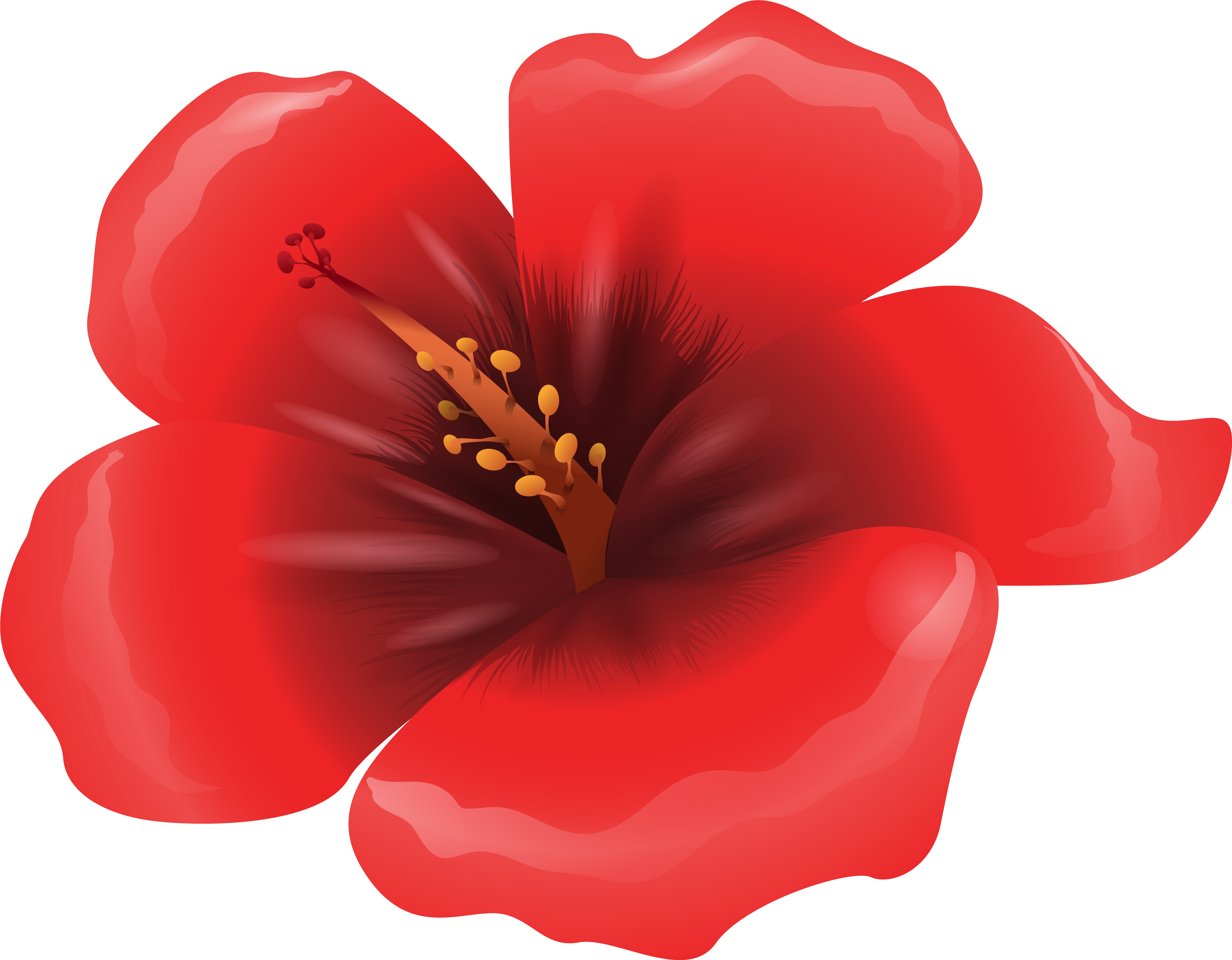 Large Red Flower Clipart Png Image Amapola Clipart Full Size Png Download Seekpng