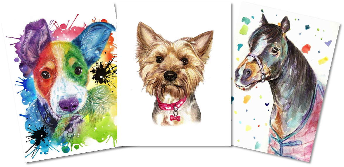 Pet - Australian Silky Terrier (1176x572), Png Download