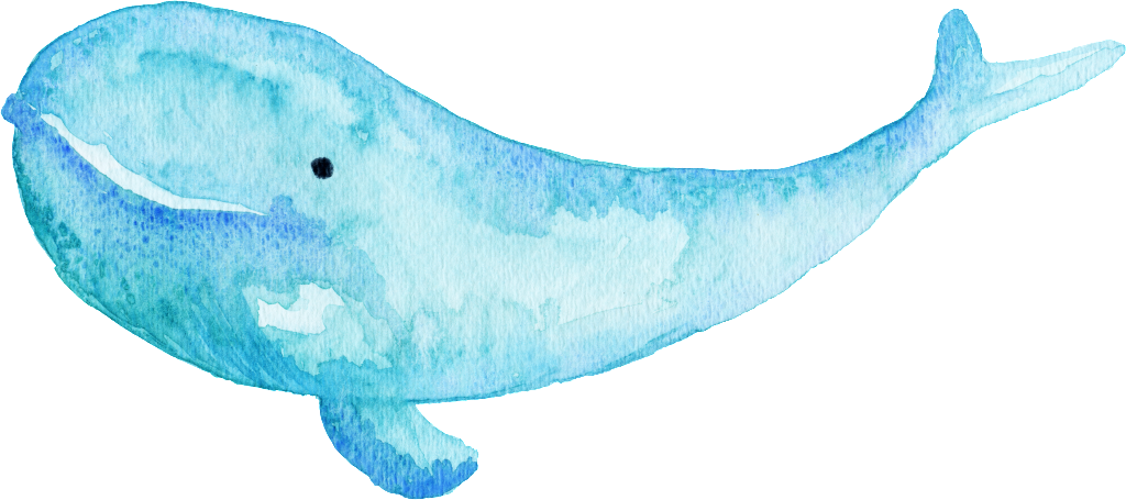 This Graphics Is Hand Painted A Smiling Little Whale - Whales (1024x455), Png Download