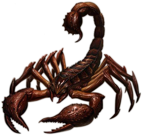 Scorpion Png (559x497), Png Download