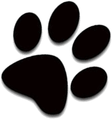 26 Jan Cat Paw Png Cat Paw - Paw Prints Transparent Background (600x500), Png Download