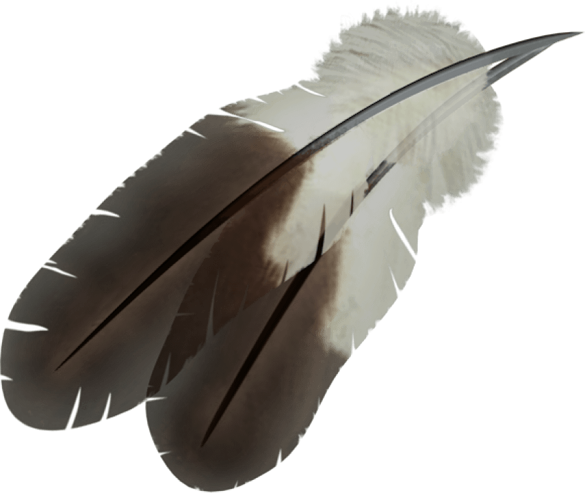 Free Png Feather Png Images Transparent - Native American Feather Png (850x717), Png Download