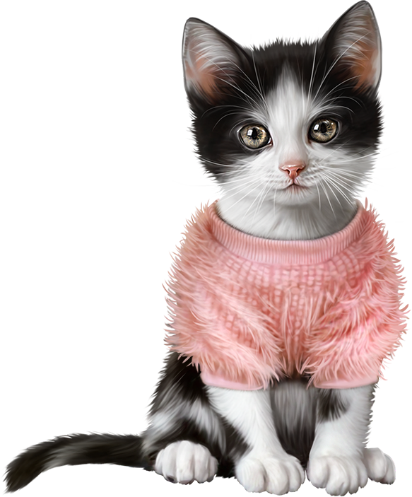 Diskussion Om Liveinternet - Clip Art Kot (583x703), Png Download