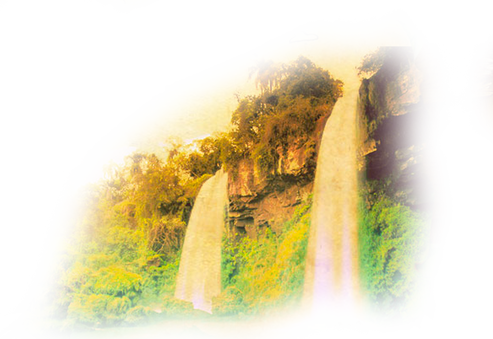 Fuentes-secretas - Tree (1608x1108), Png Download
