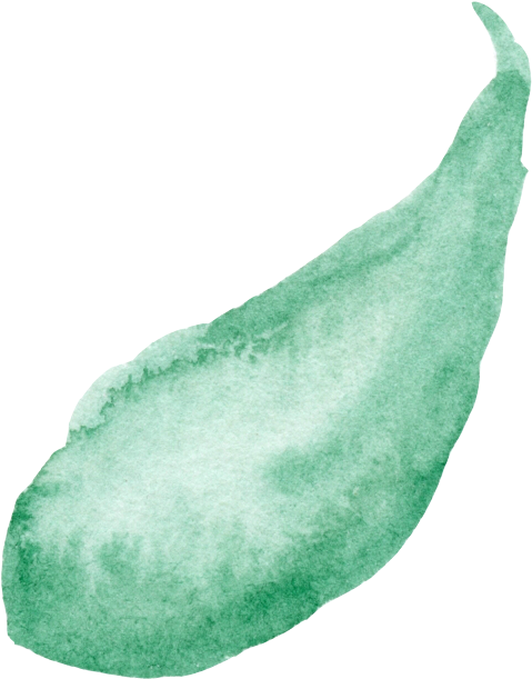 Default - Gourd (552x635), Png Download