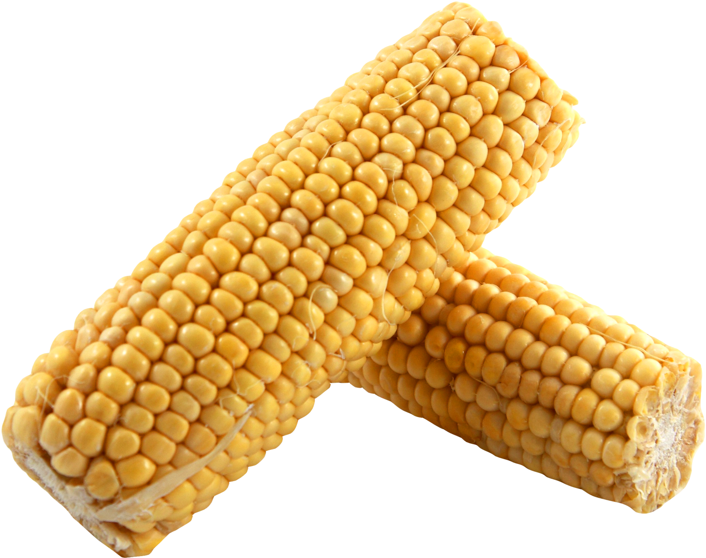 Corn Png Image - Dent Corn Png (1623x1290), Png Download