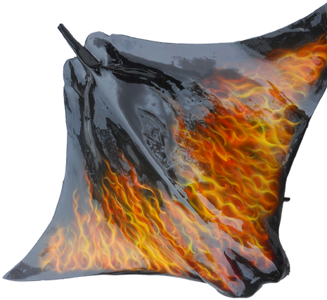 Stingray With True Flames - Watercolor Paint (500x500), Png Download