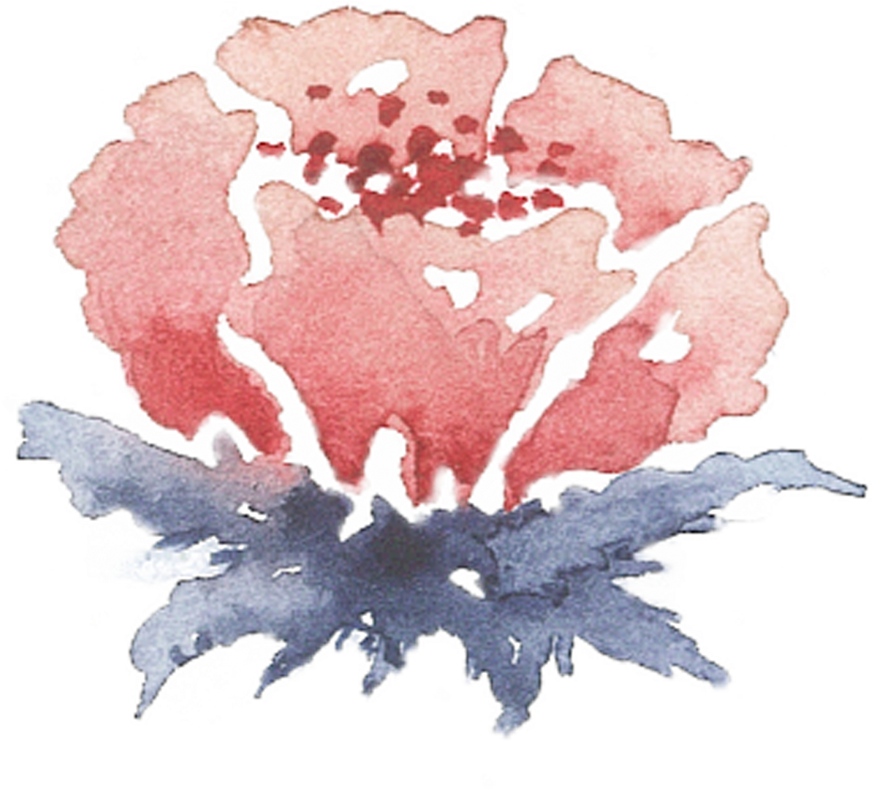 Of A Friends Wedding In The Summer Of - Peony (1920x1796), Png Download