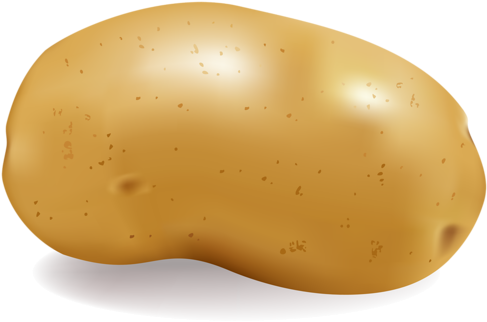 Download - Potato Png (500x335), Png Download