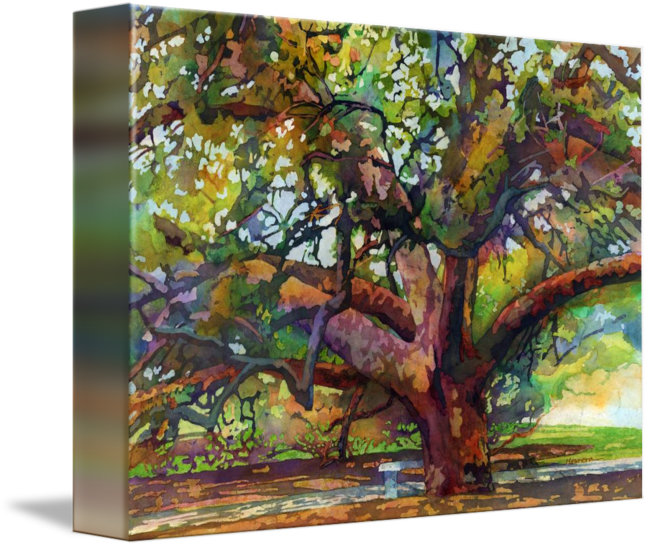 "sunlit Century Tree" By Hailey E - Sunlit Century Tree (650x547), Png Download