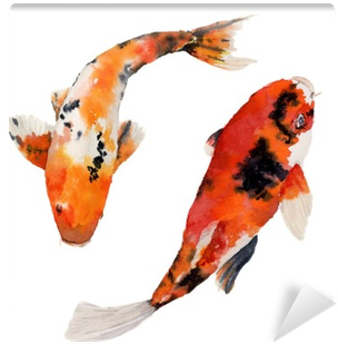 Watercolor Oriental Rainbow Carp Set - Carpe Koi Aquarelle (400x400), Png Download