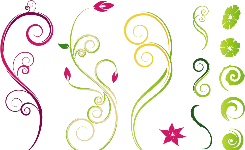 Flower Vine Drawing Clip Art - Flower Wines Clipart (996x642), Png Download