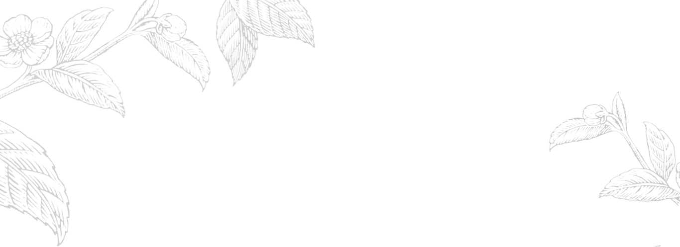 Sketch (1366x497), Png Download