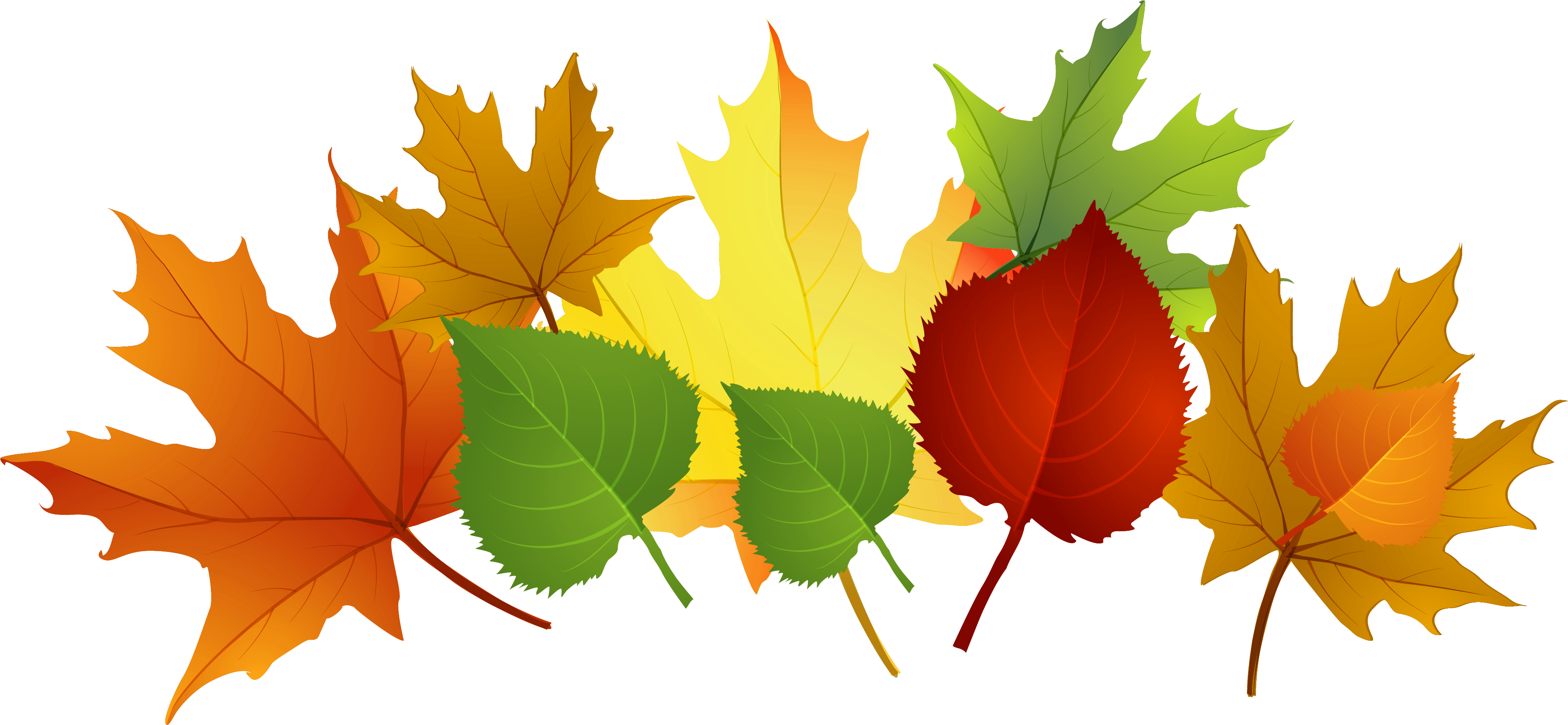 Fall Leaves Clipart (3969x1910), Png Download
