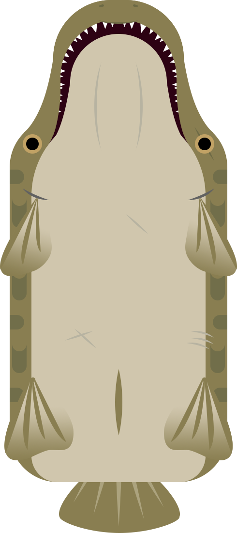 3 Mo - Illustration (490x1100), Png Download