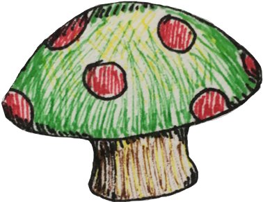 Shiitake (421x356), Png Download