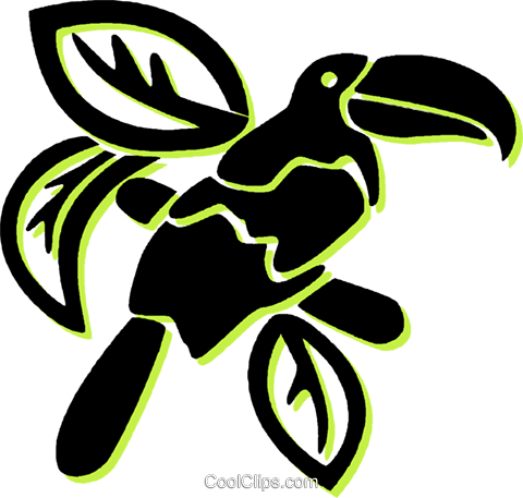 Toucan Royalty Free Vector Clip Art Illustration - Illustration (480x457), Png Download