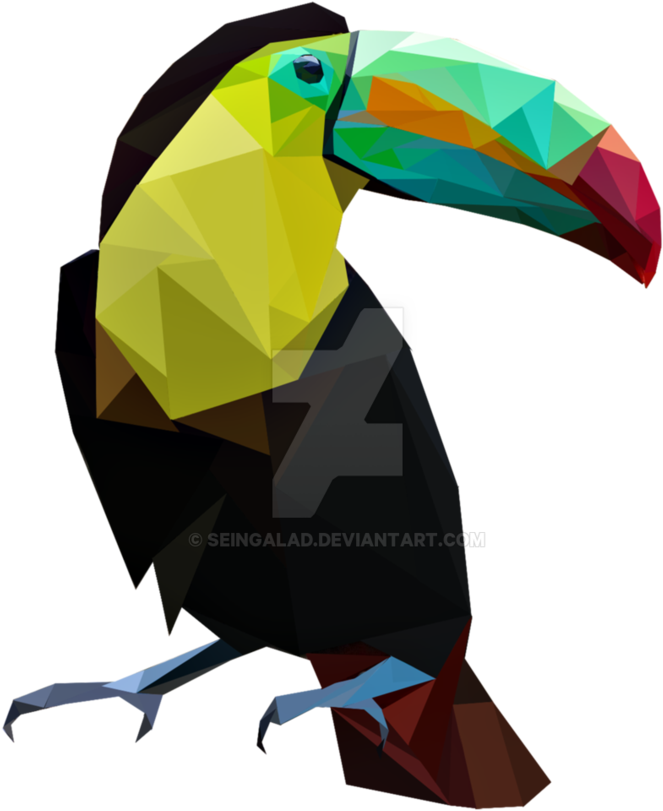 Toucan Bird Png (865x924), Png Download