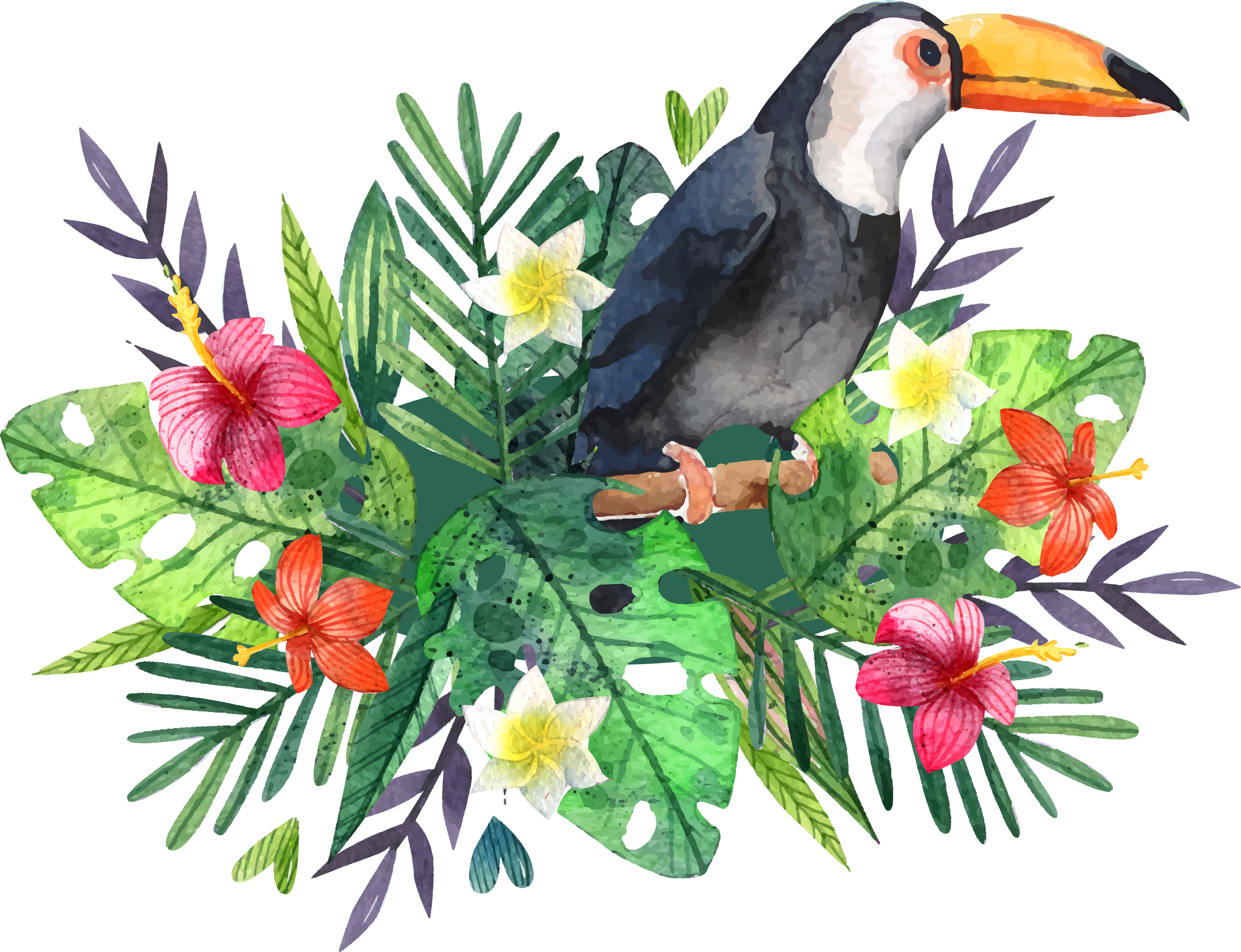 Svg Black And White Stock Hornbill Fauna Flora Tote - 夏威夷 大 嘴 鳥 (2958x2269), Png Download