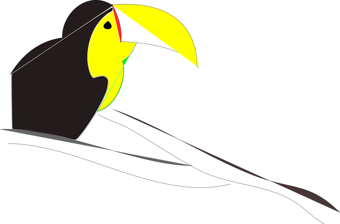 Toucan Beak Neck - Clip Art (1134x750), Png Download