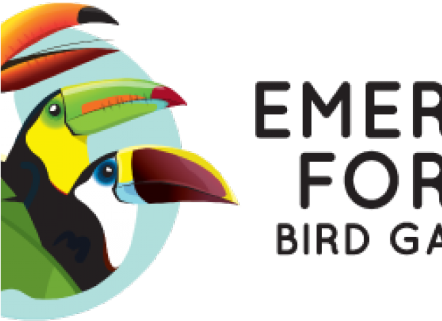 Hornbill (640x480), Png Download