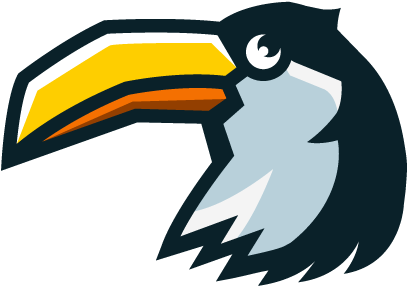 Toucan - Piciformes (800x600), Png Download