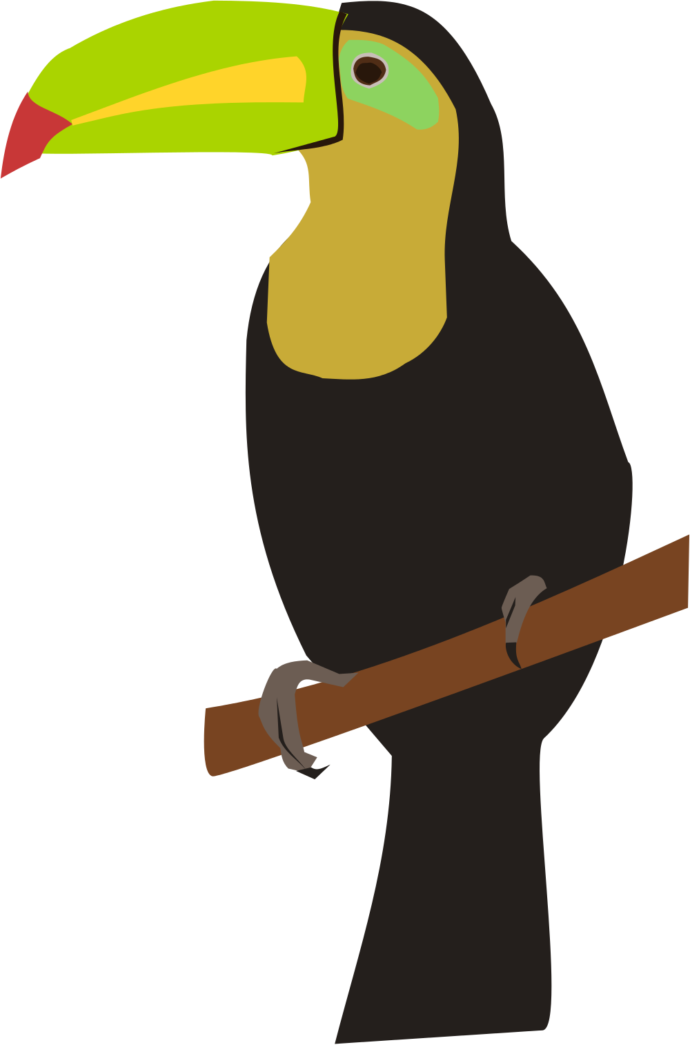 Open - Png File Toucan (1000x1514), Png Download