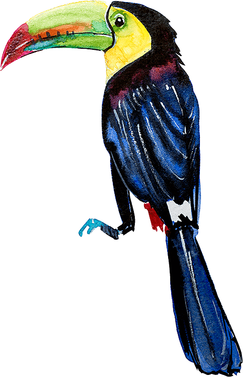 View More - Stock Illustration (474x734), Png Download