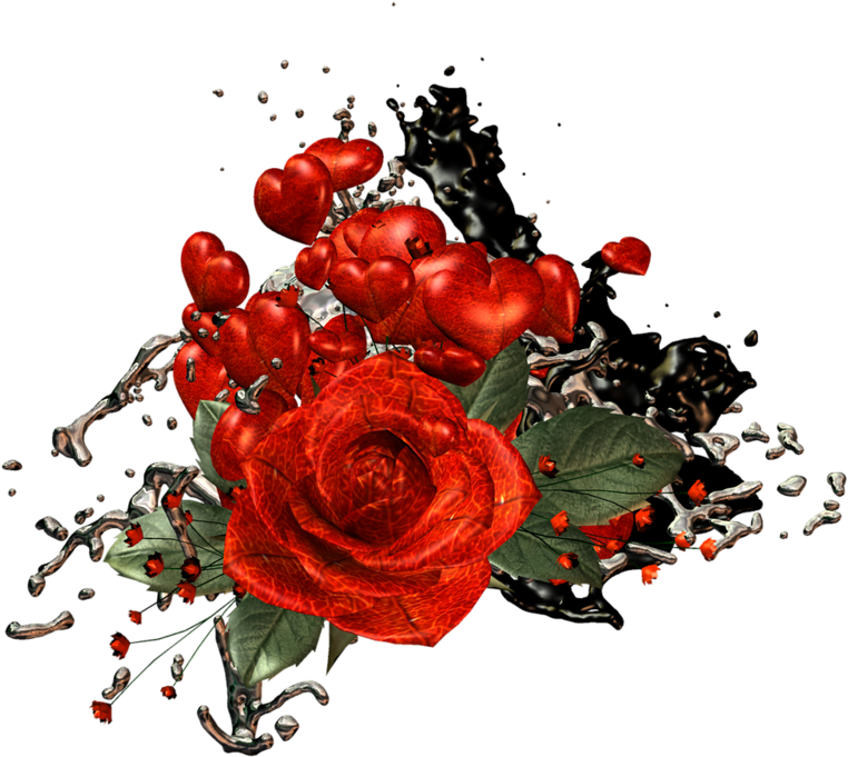 Album - March 8 (800x717), Png Download