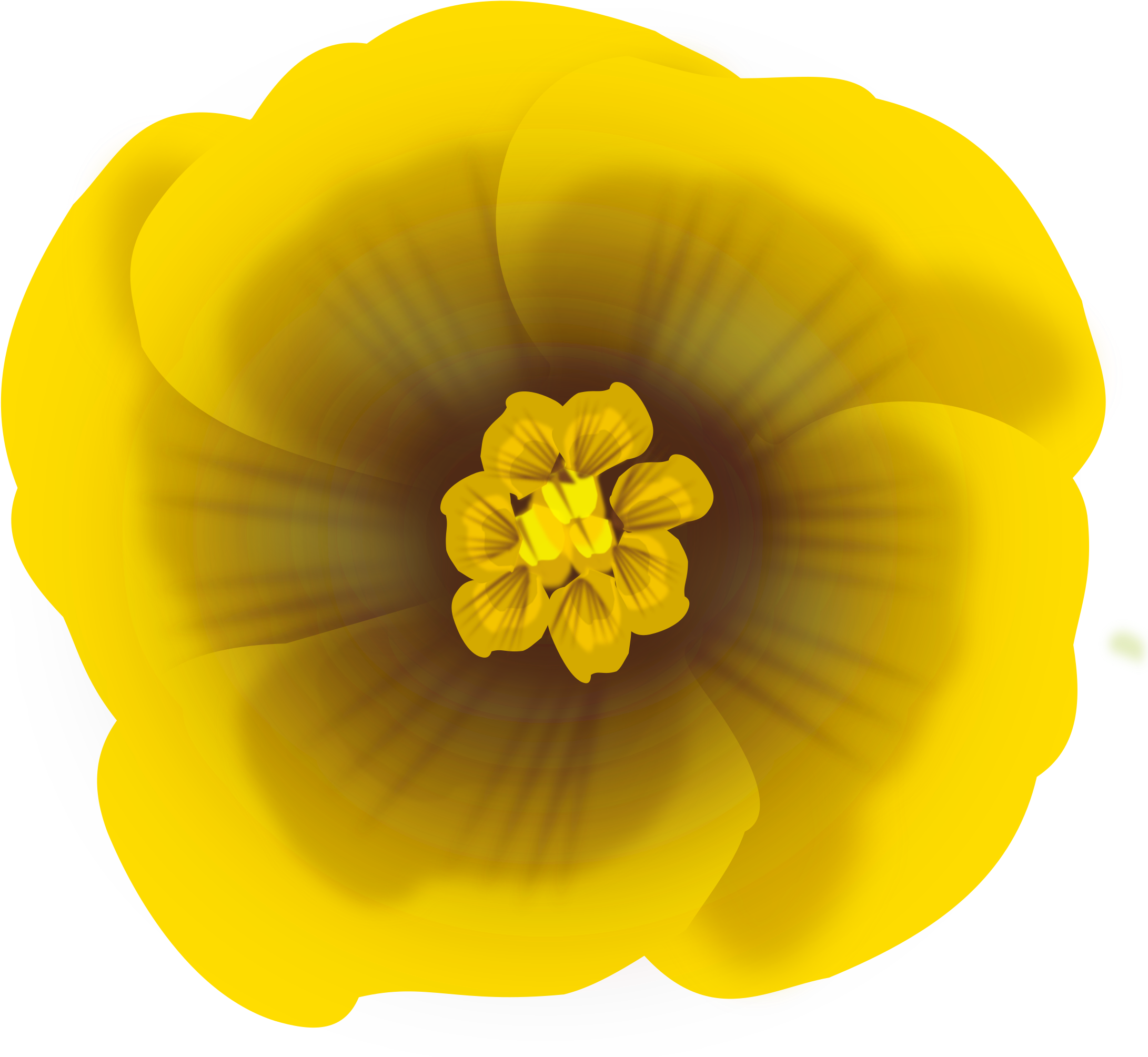 Big Image - Flower Png Transparent Yellow (2400x2400), Png Download