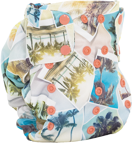 Final Sale Palmae Adventure - Palm Trees (500x500), Png Download