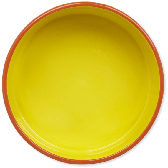 38oz Ceramic Daisy Life Is Good Dog Bowl - Dog Bowl Top View (570x570), Png Download